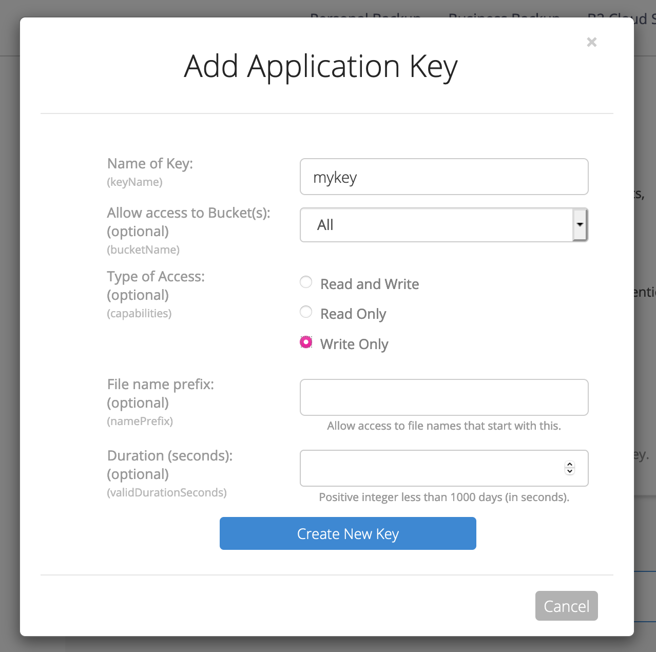 The "new application key" interface