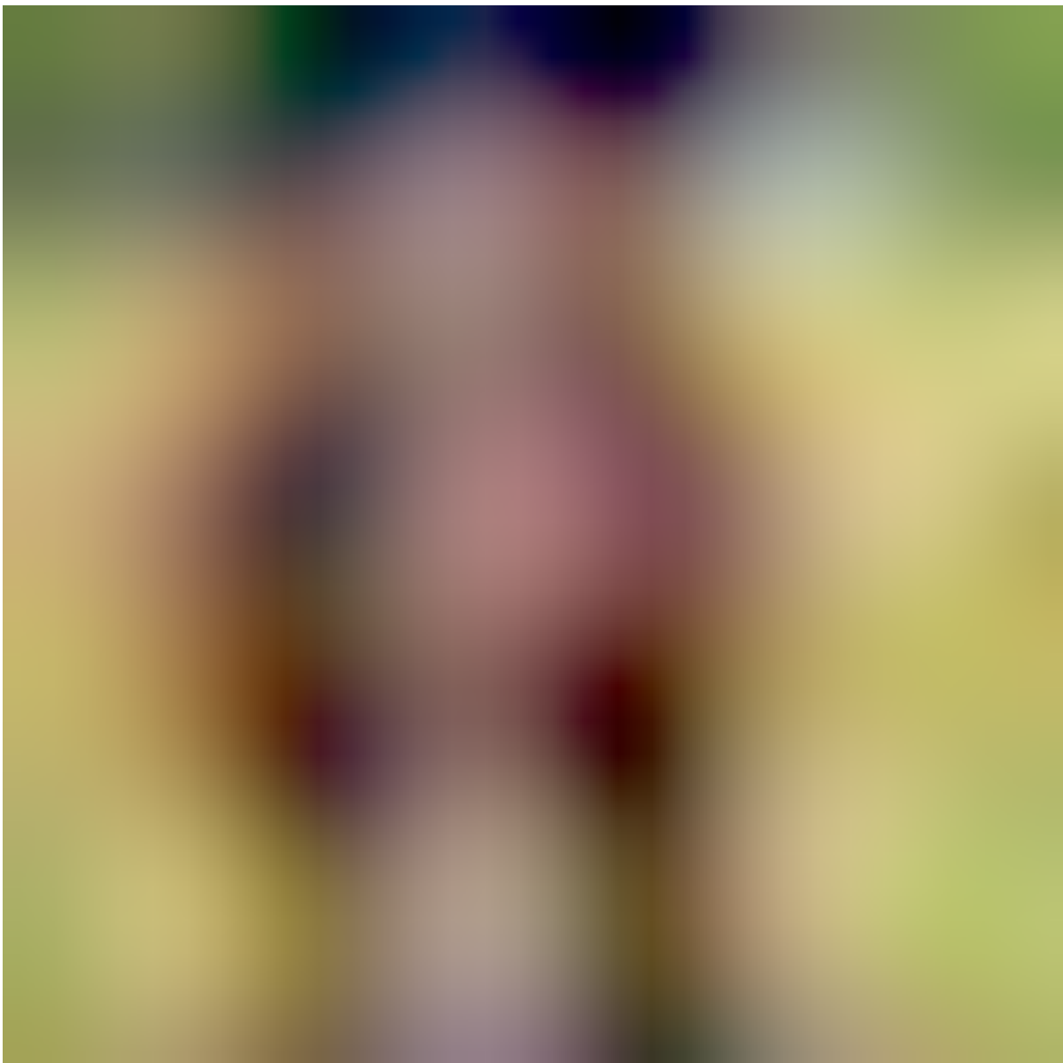 Blurhash'd picture of a dog